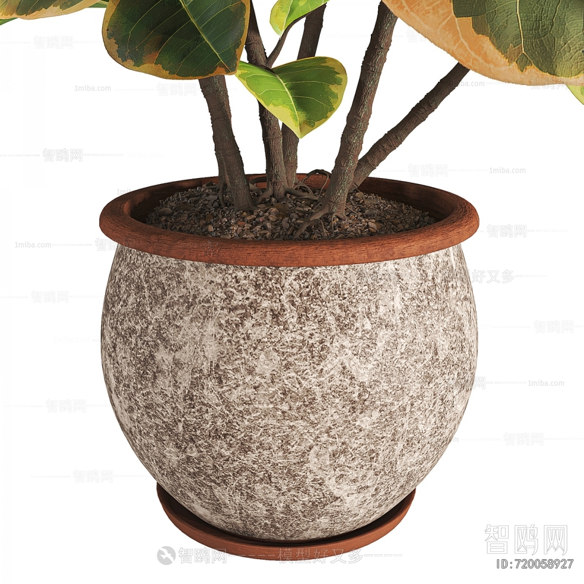 Modern Potted Green Plant