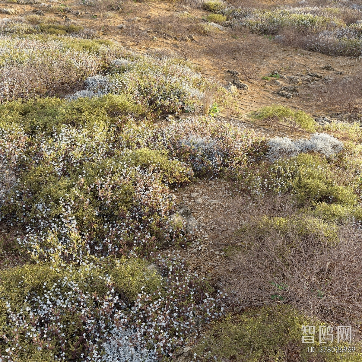 Modern The Grass