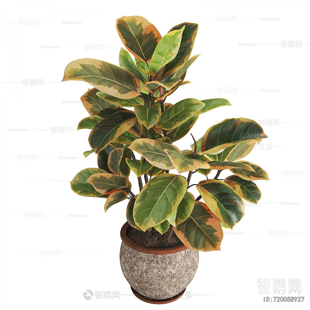Modern Potted Green Plant