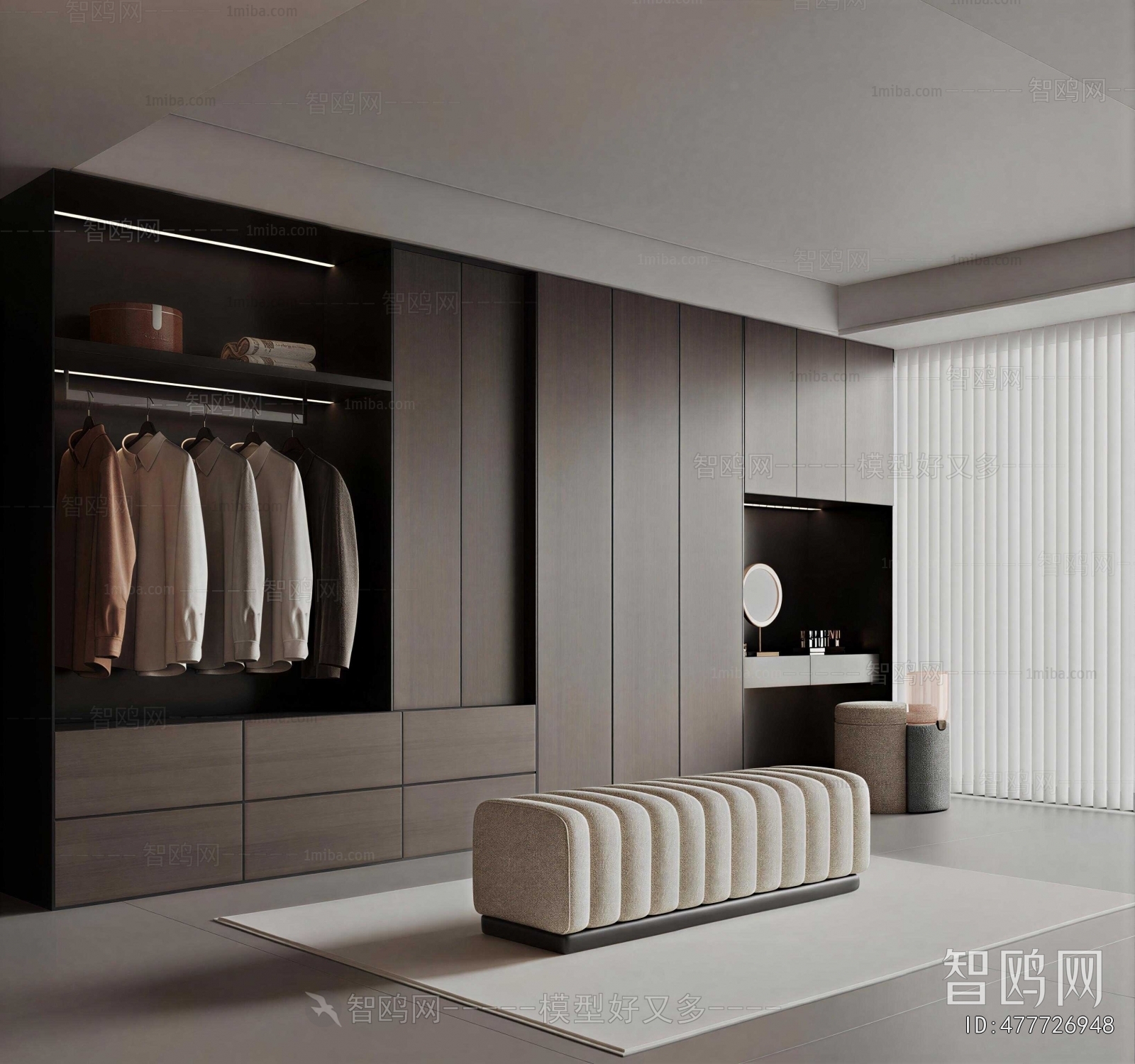 Modern Clothes Storage Area