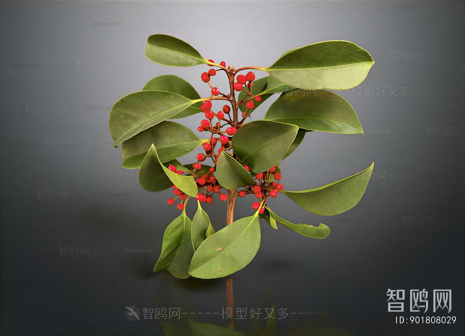 Modern Plant