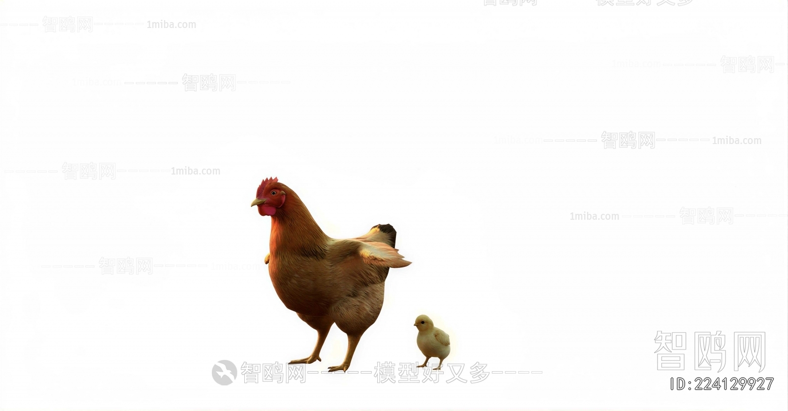 Modern Poultry Animal