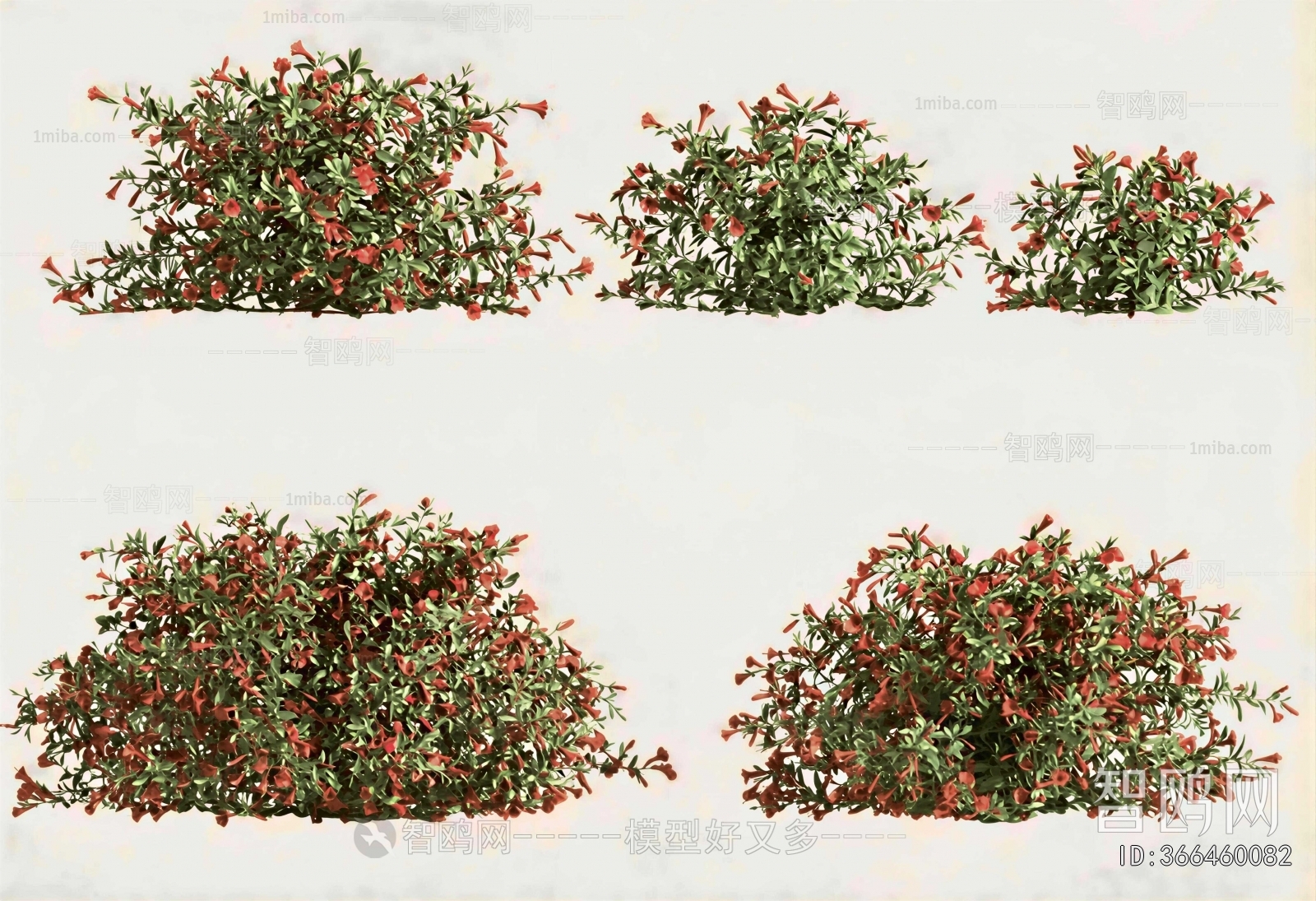 Modern Shrubbery