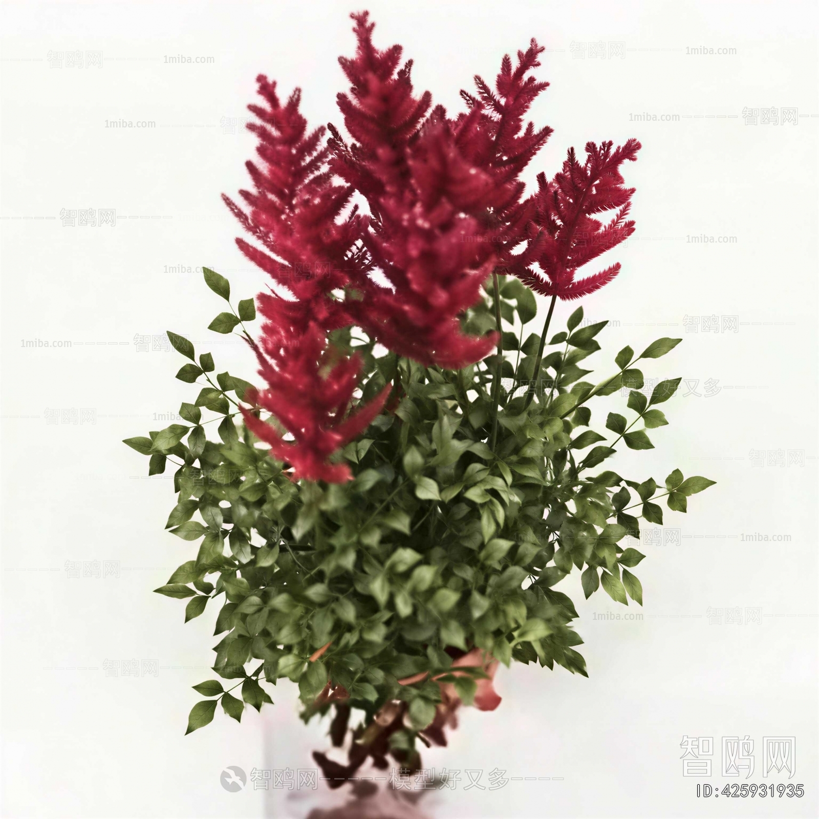 Modern Flowers