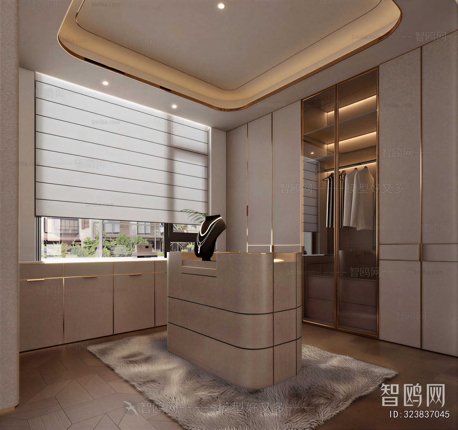 Modern Clothes Storage Area