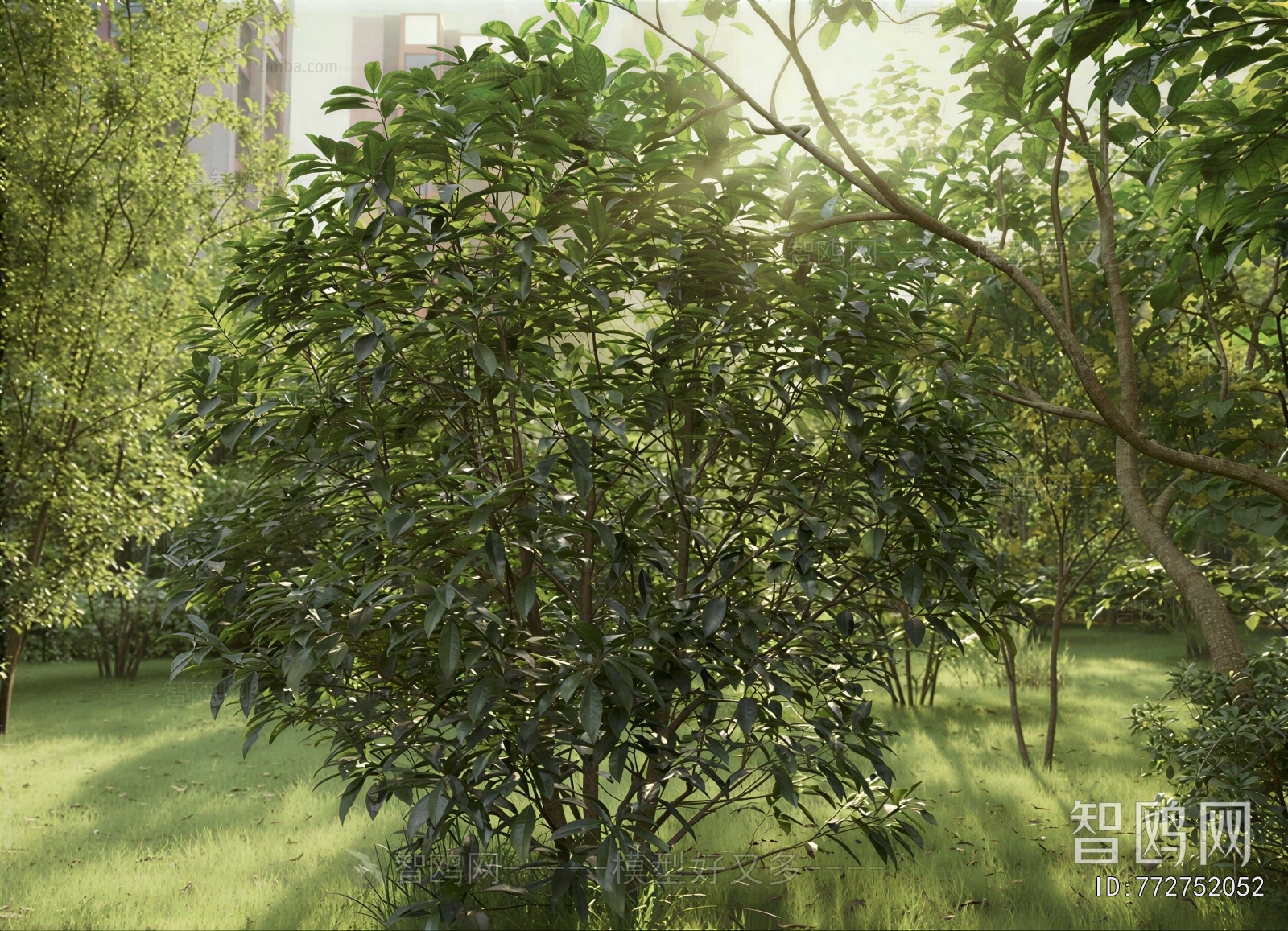 Modern Shrubbery