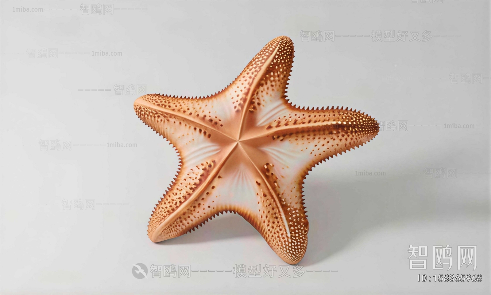 Modern Aquatic Animals