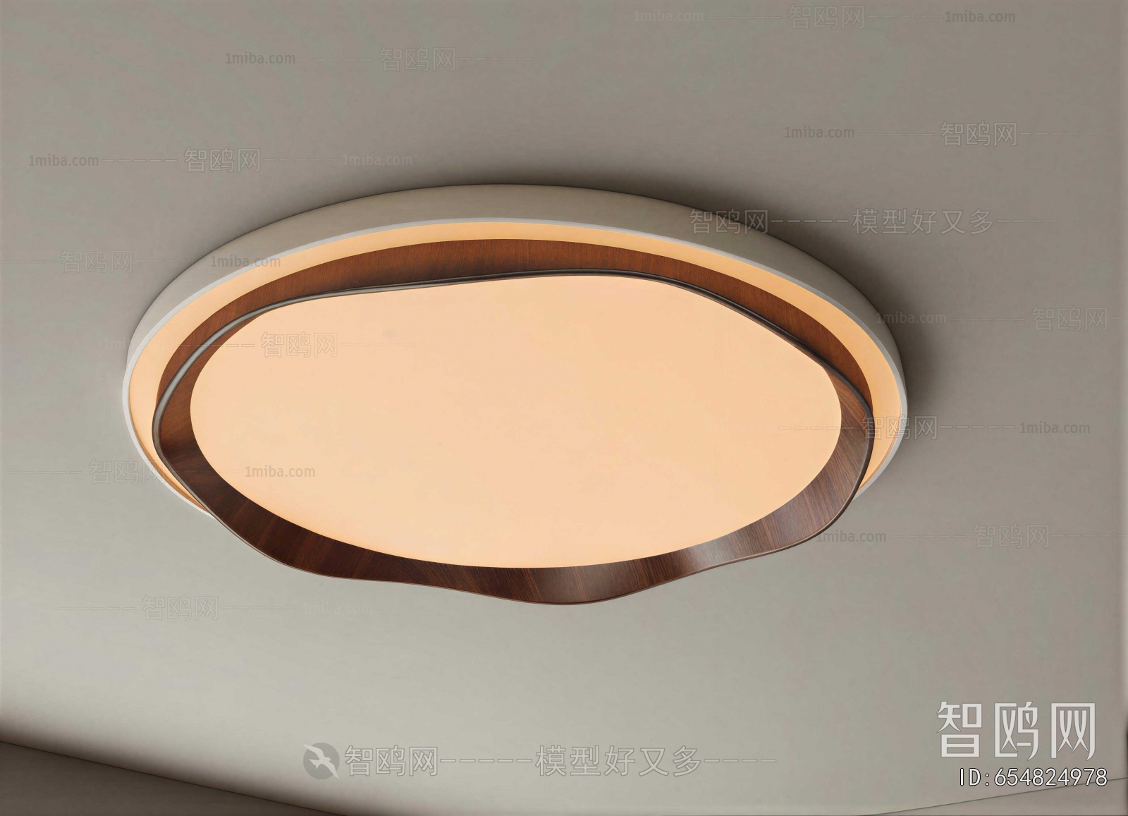 Modern Ceiling Ceiling Lamp