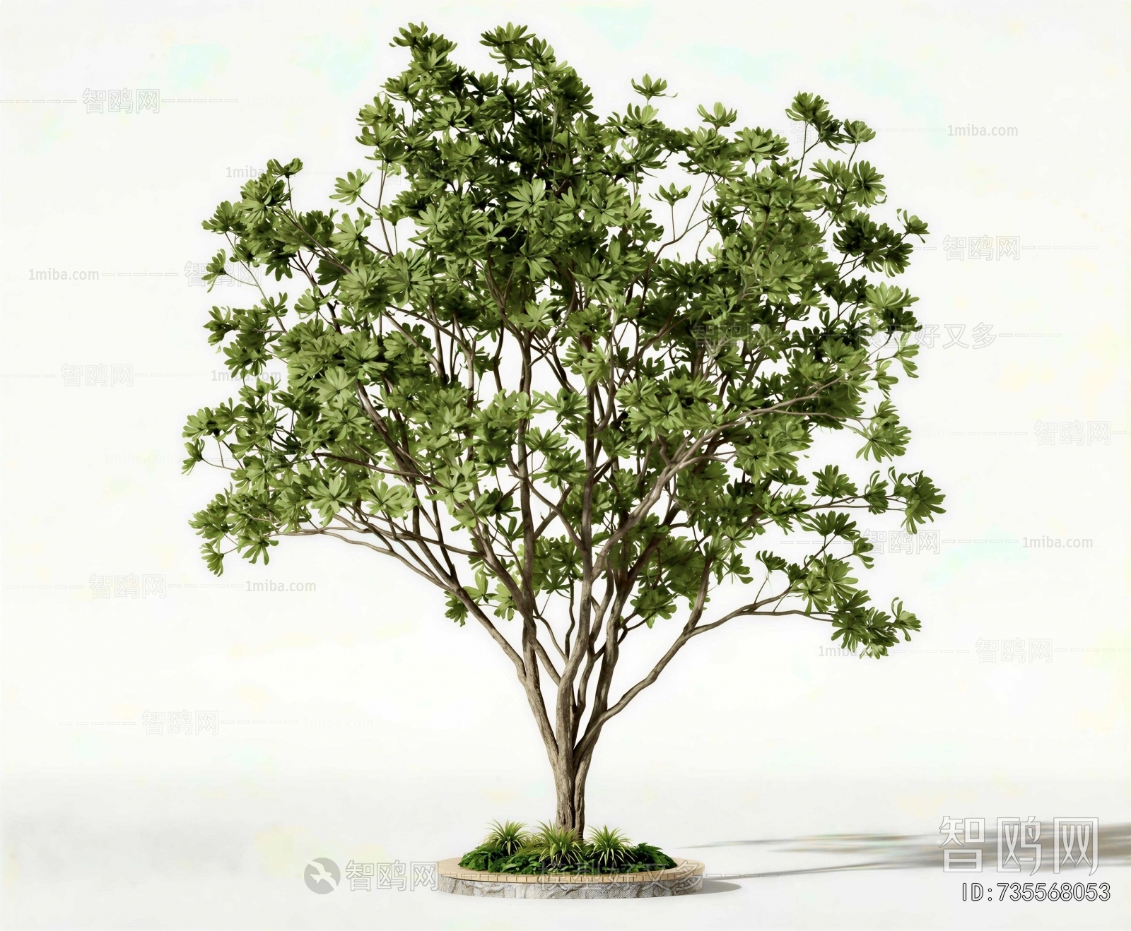 Modern Tree
