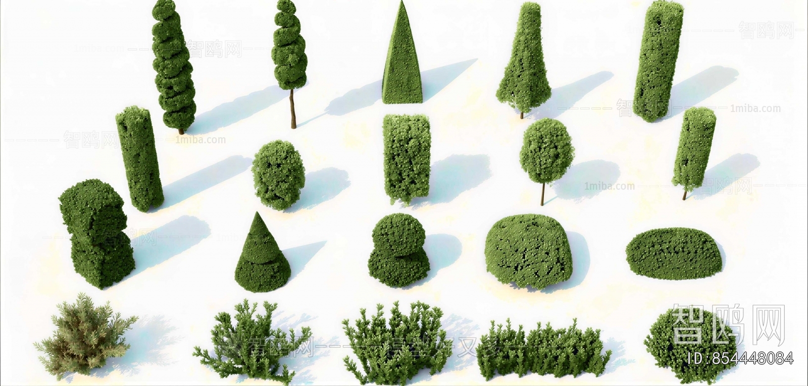 Modern Shrubbery