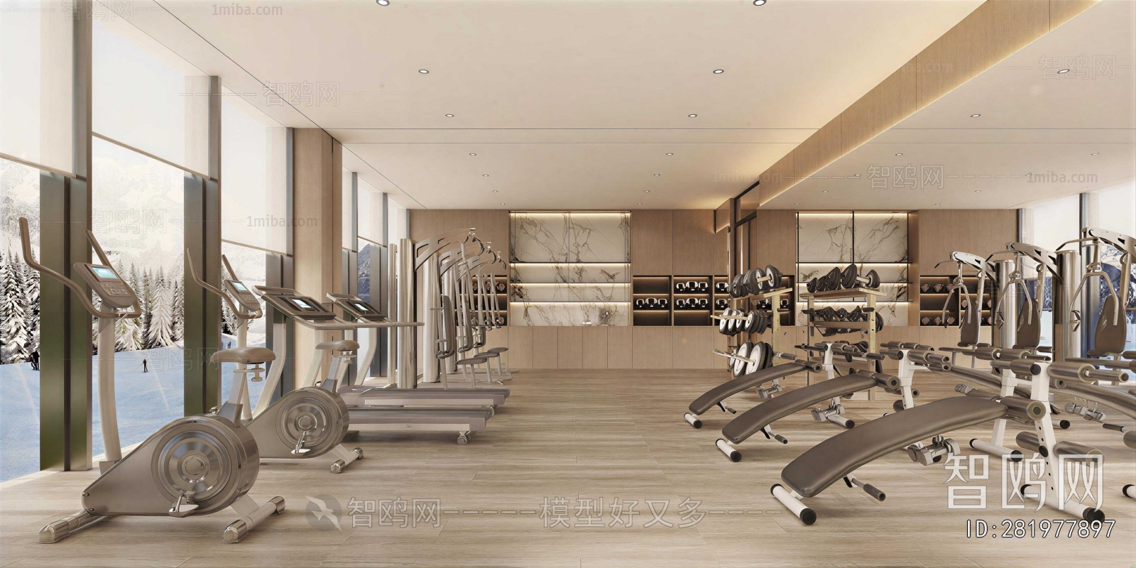 Modern Gym