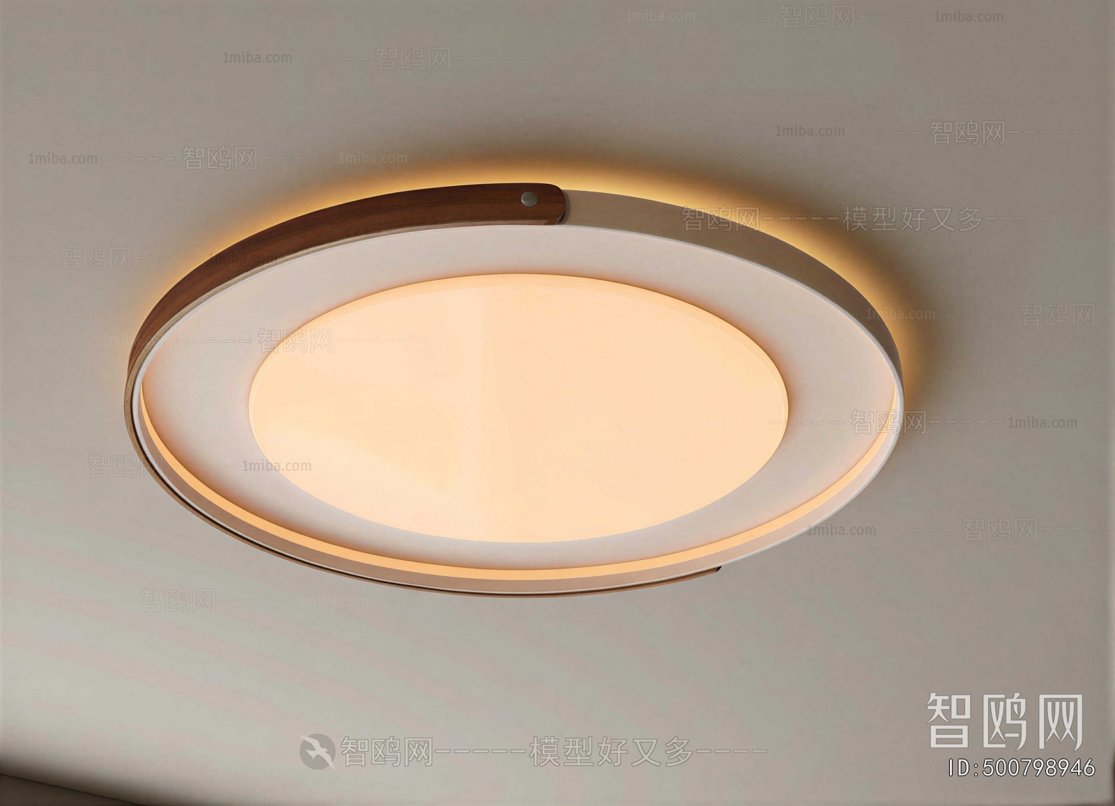 Modern Ceiling Ceiling Lamp