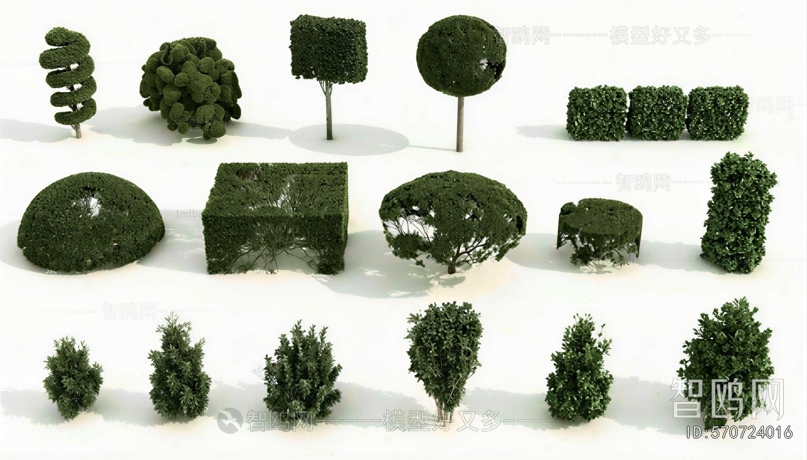 Modern Shrubbery