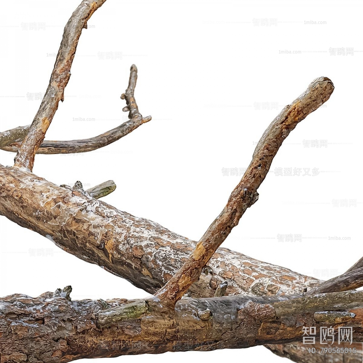 Modern Tree