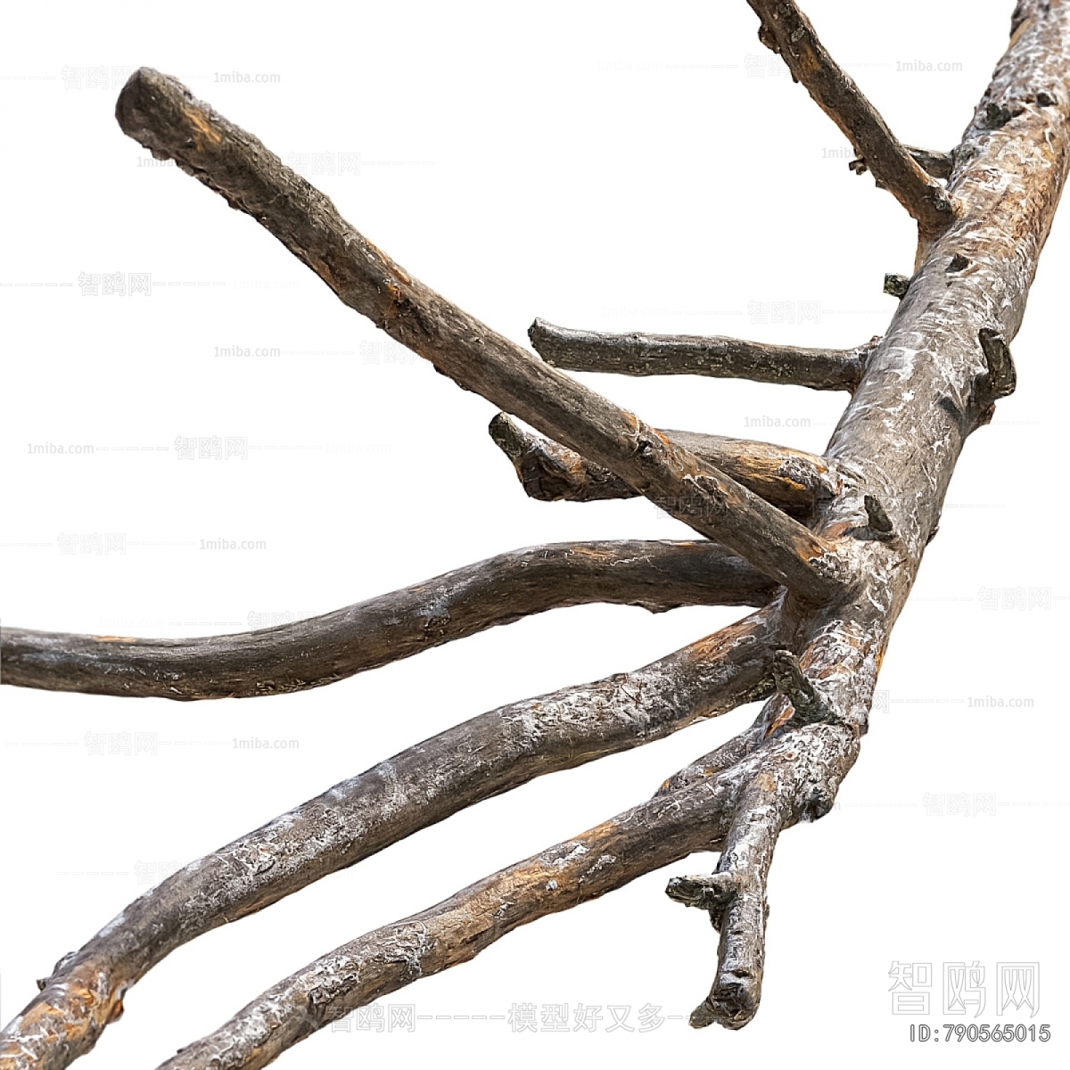 Modern Tree