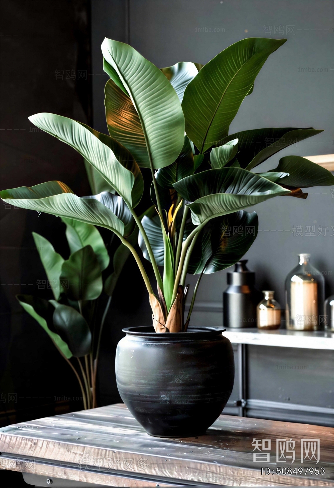 Modern Ground Green Plant Potted Plants