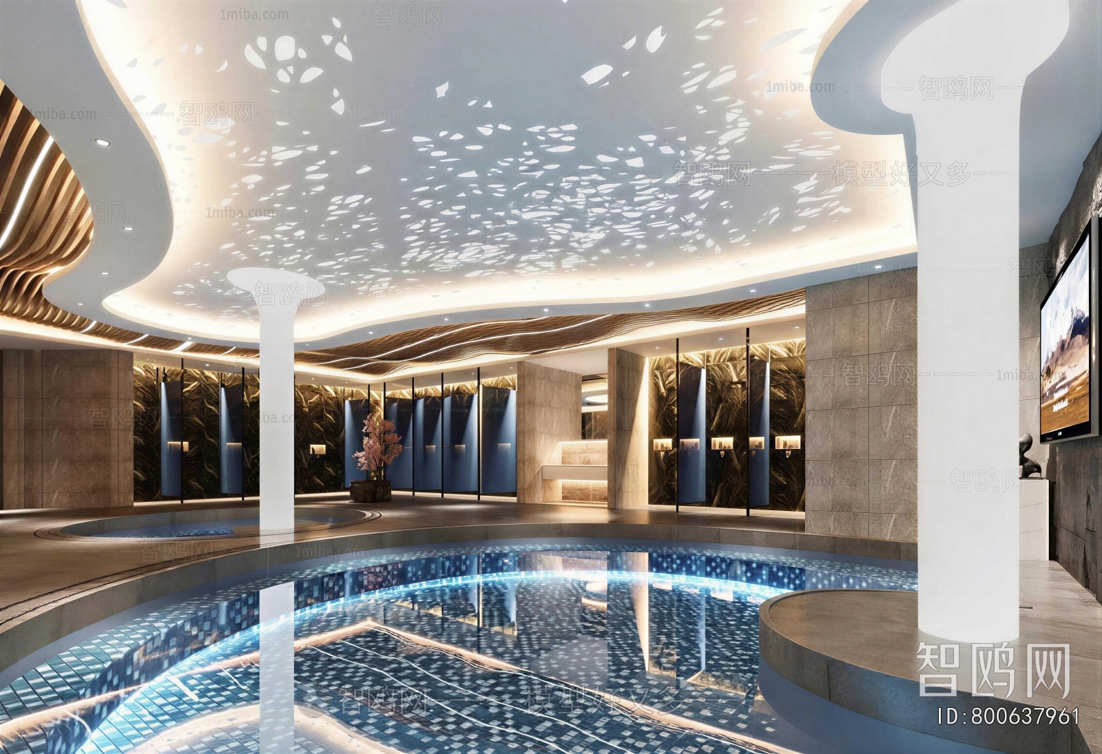 Modern Swimming Pool
