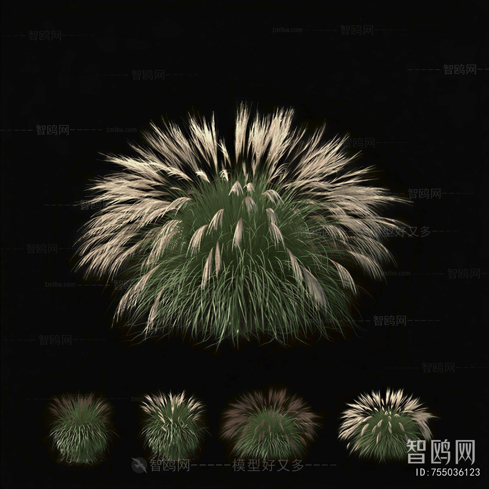 Modern The Grass