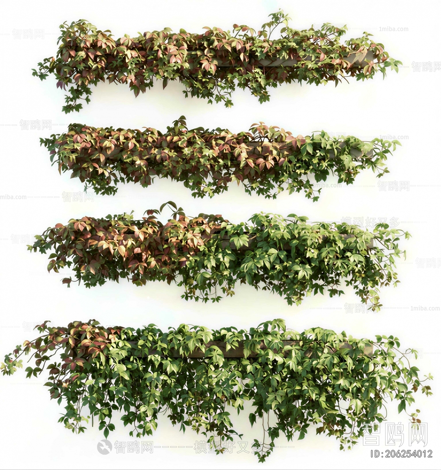 Modern Plant Wall