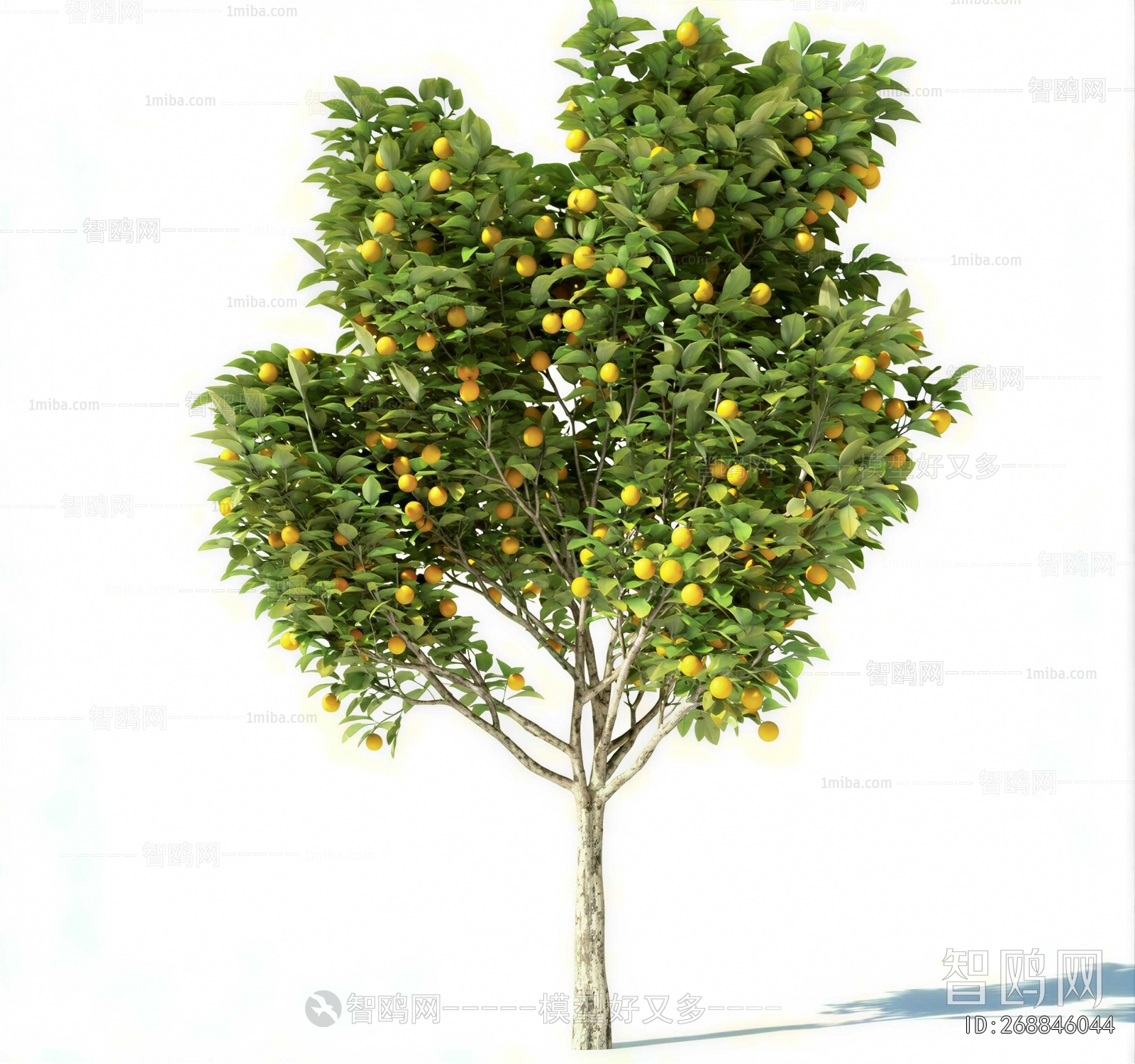 Modern Tree