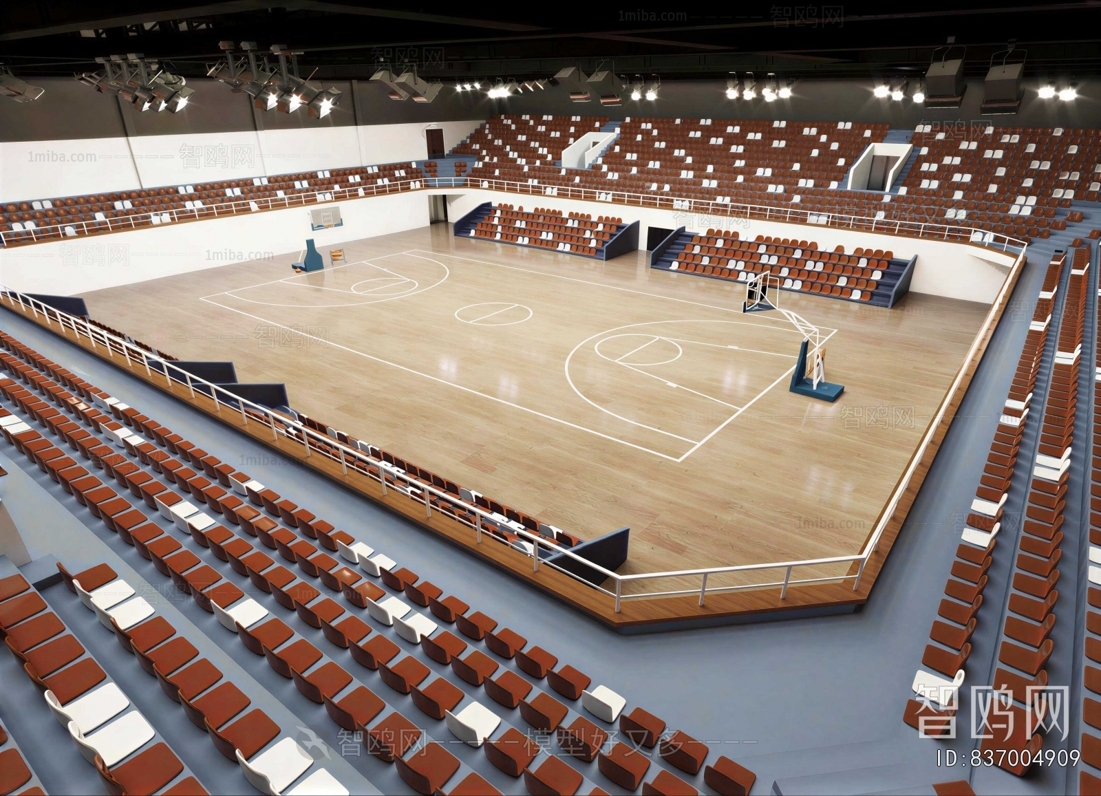 Modern Basketball Arena
