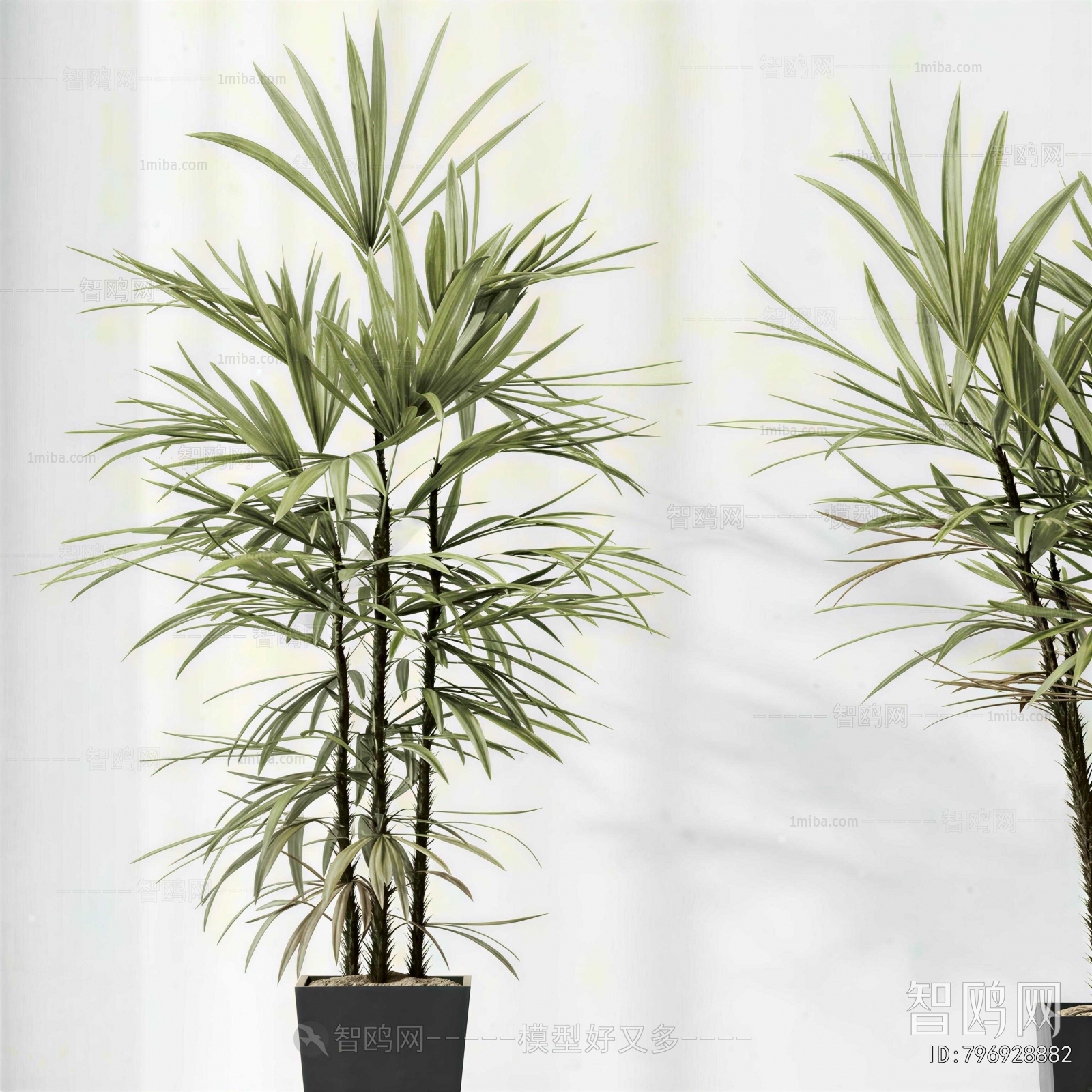 Modern Ground Green Plant Potted Plants