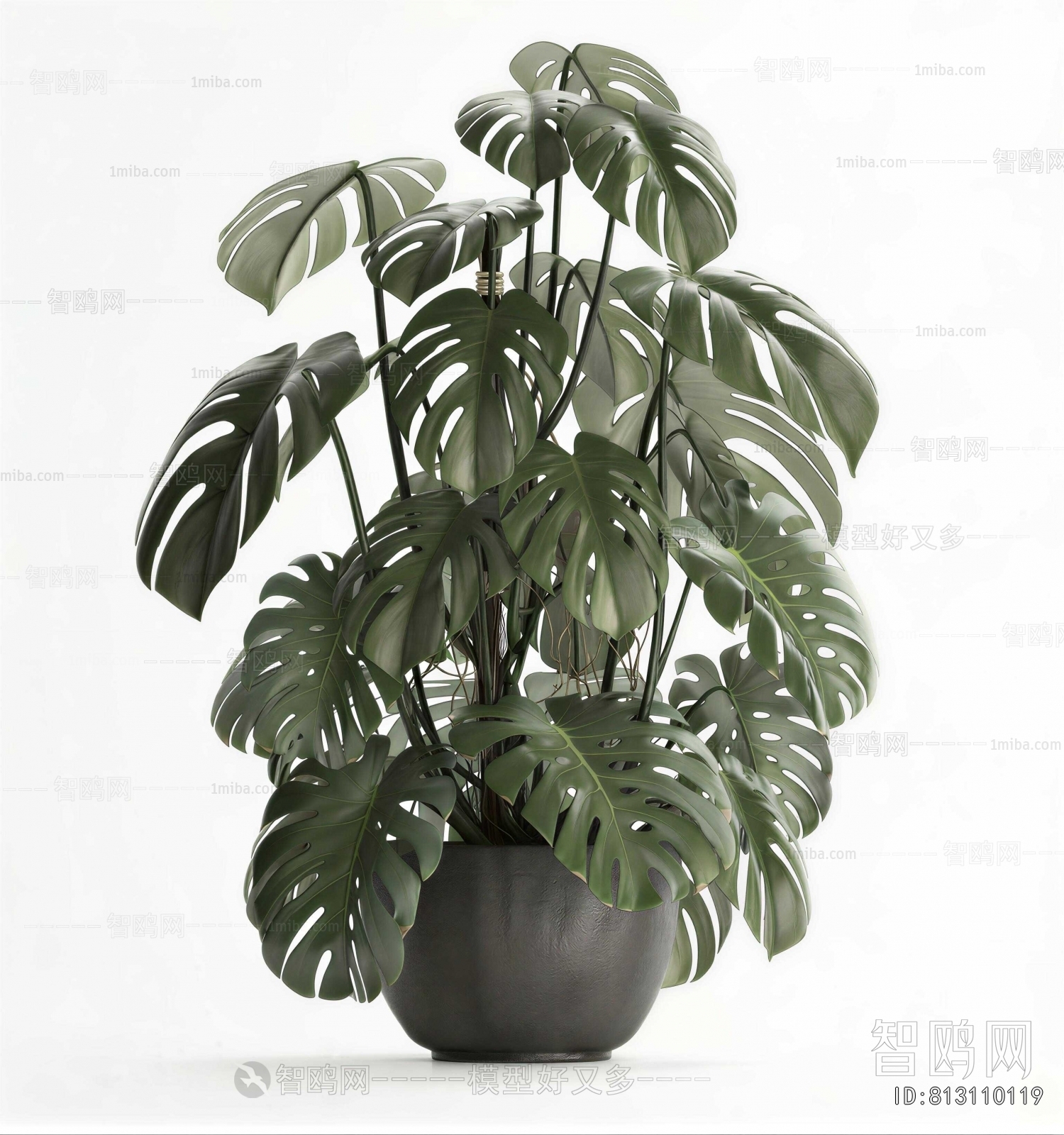 Modern Potted Green Plant