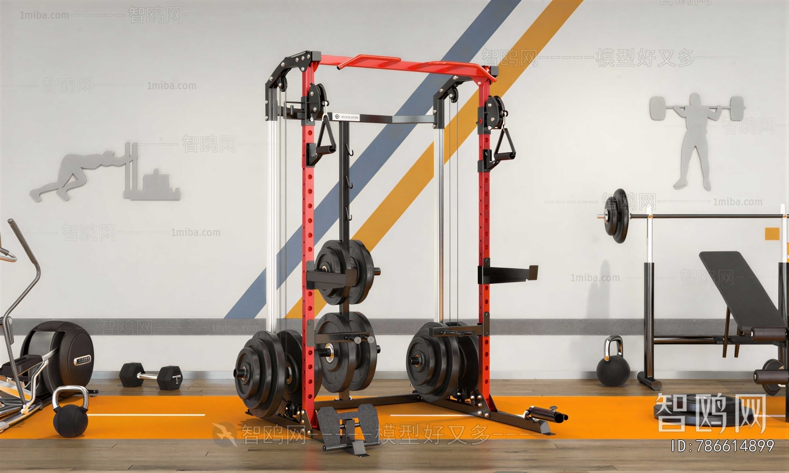 Modern Fitness Equipment