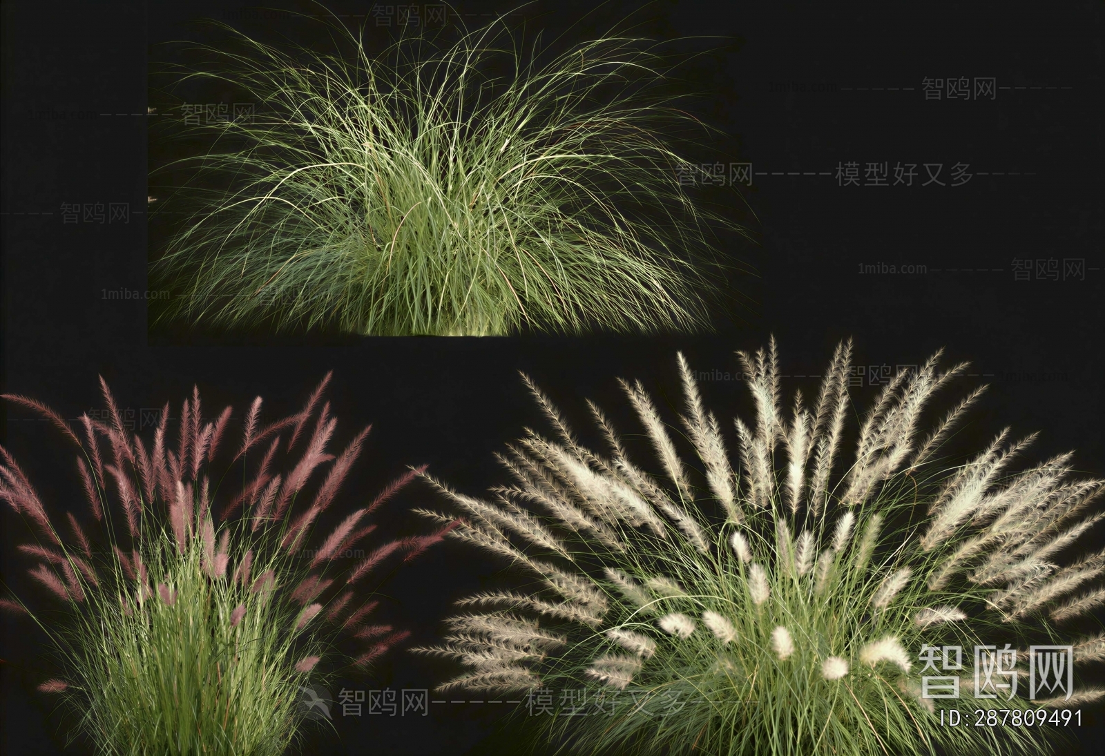Modern Flowers And Grass