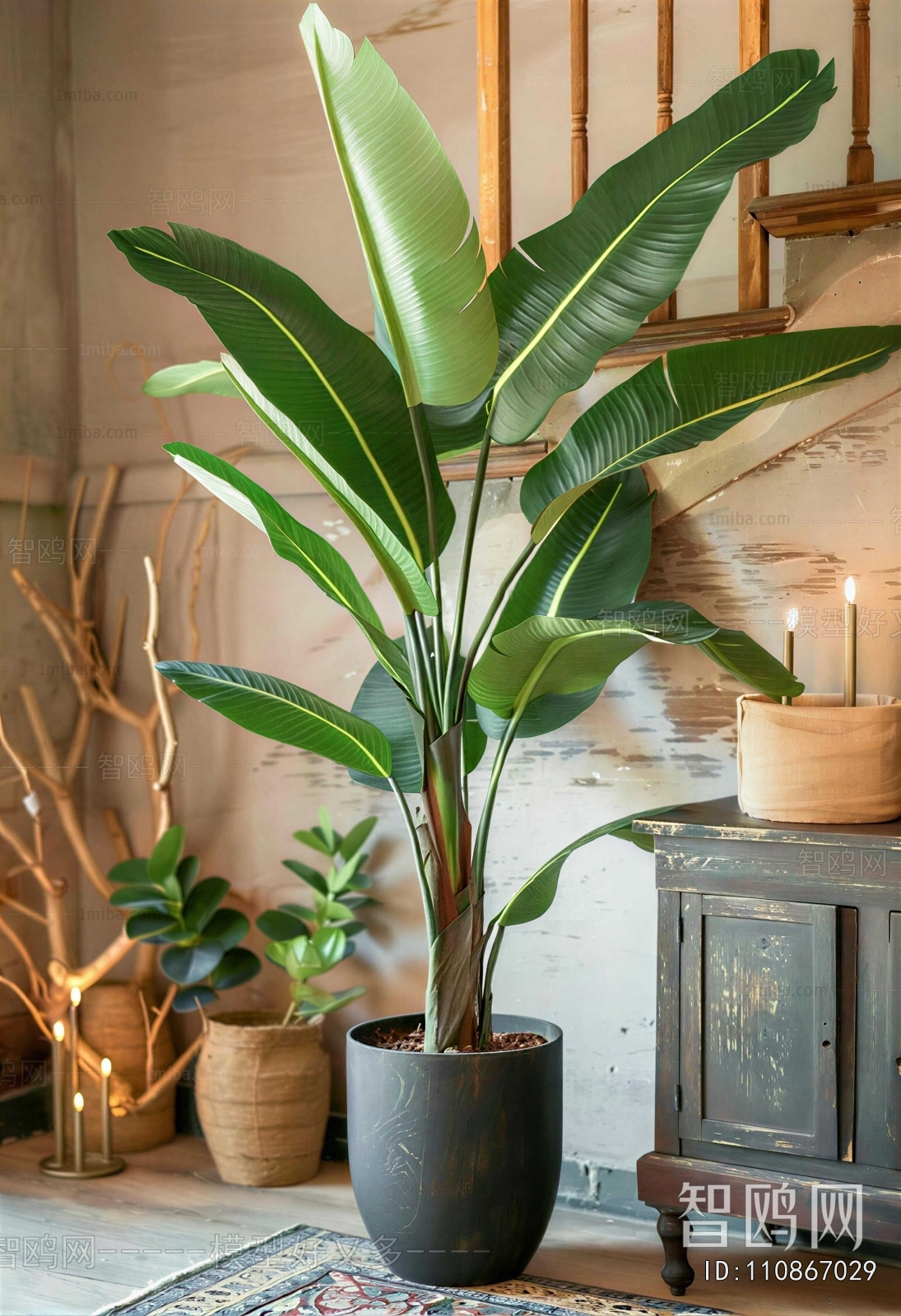Modern Ground Green Plant Potted Plants
