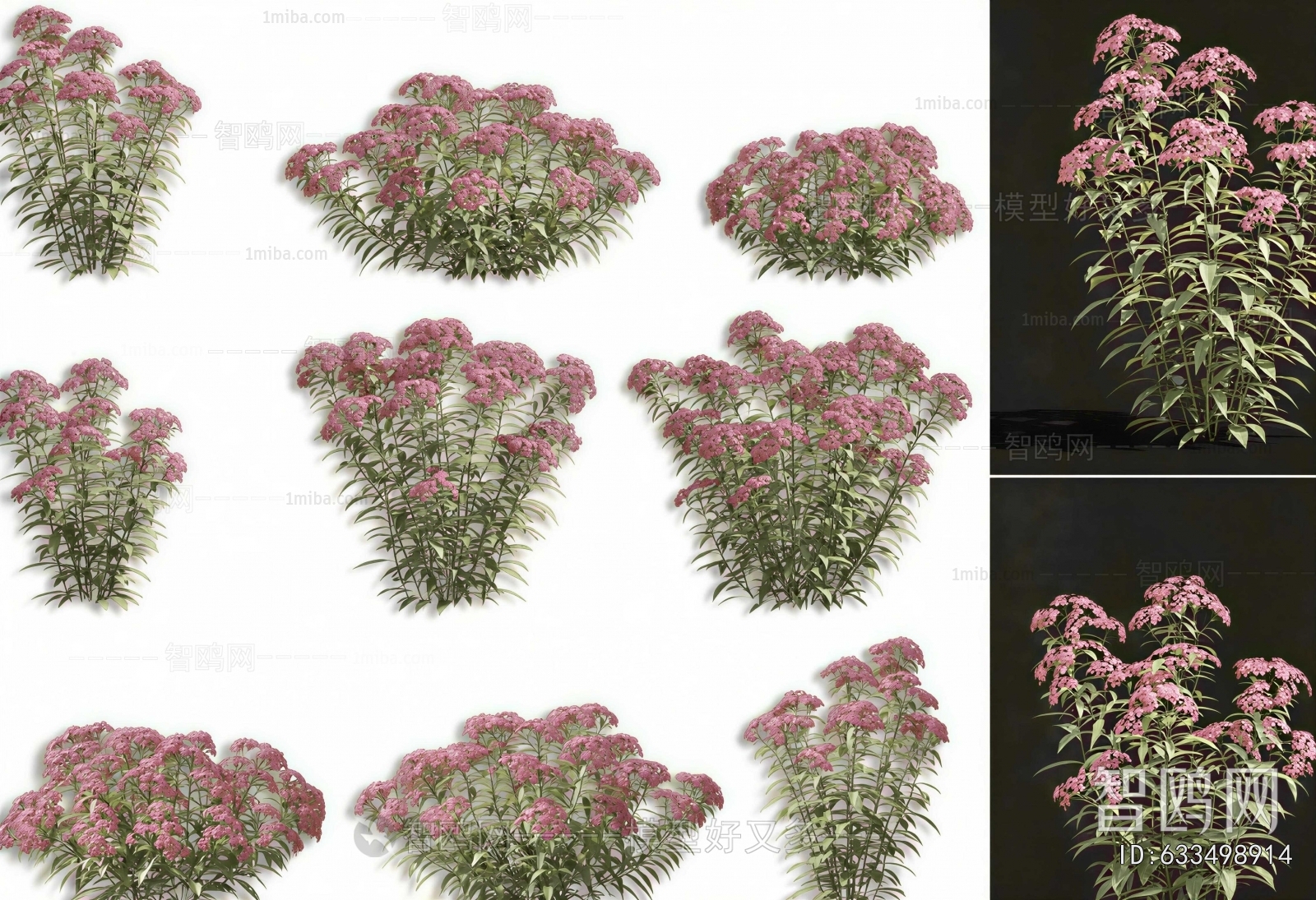 Modern Shrubbery