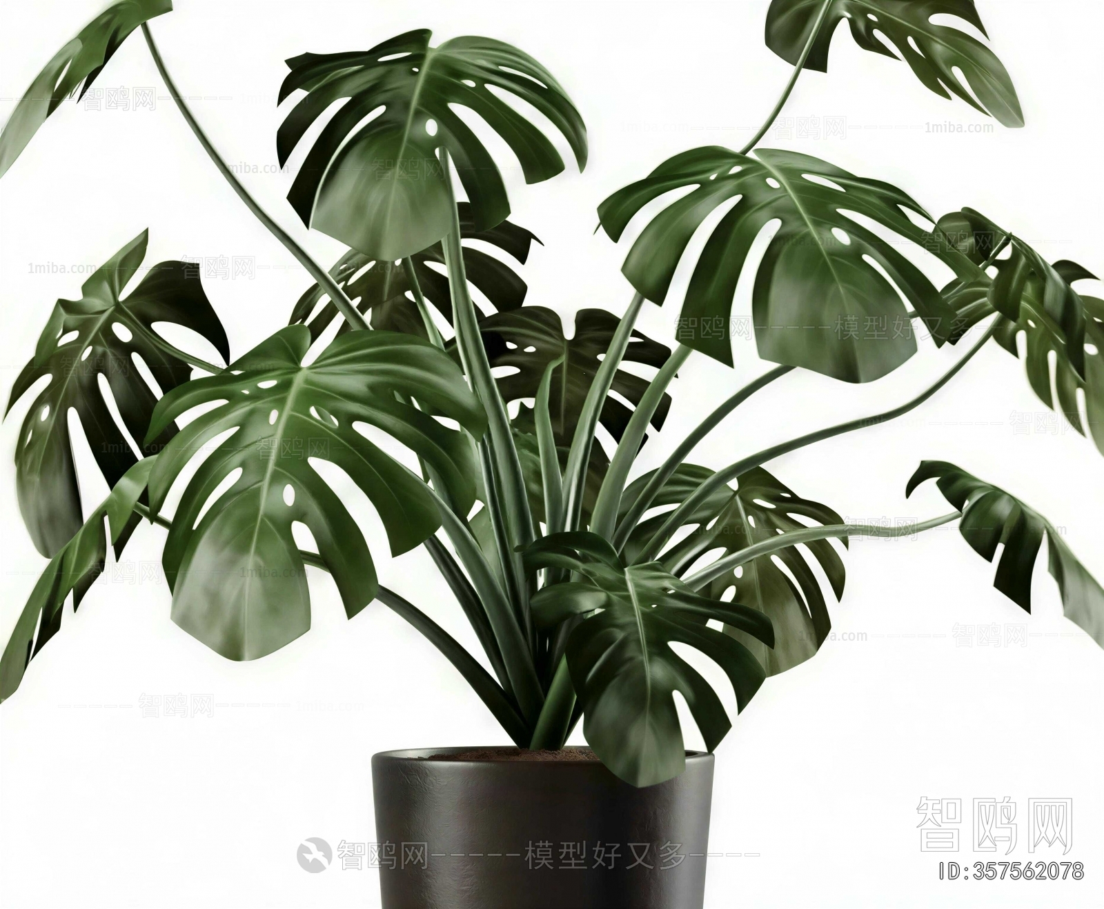 Modern Ground Green Plant Potted Plants