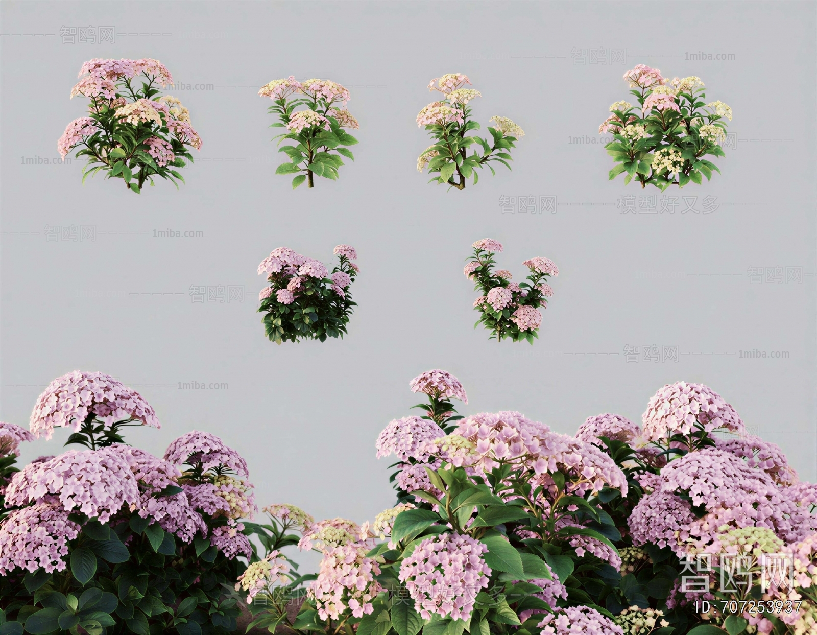Modern Flowers And Grass