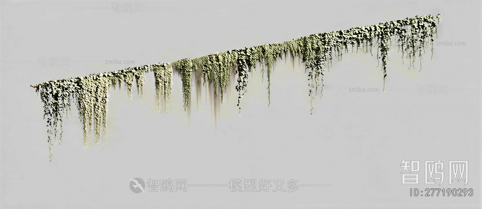 Modern Vine