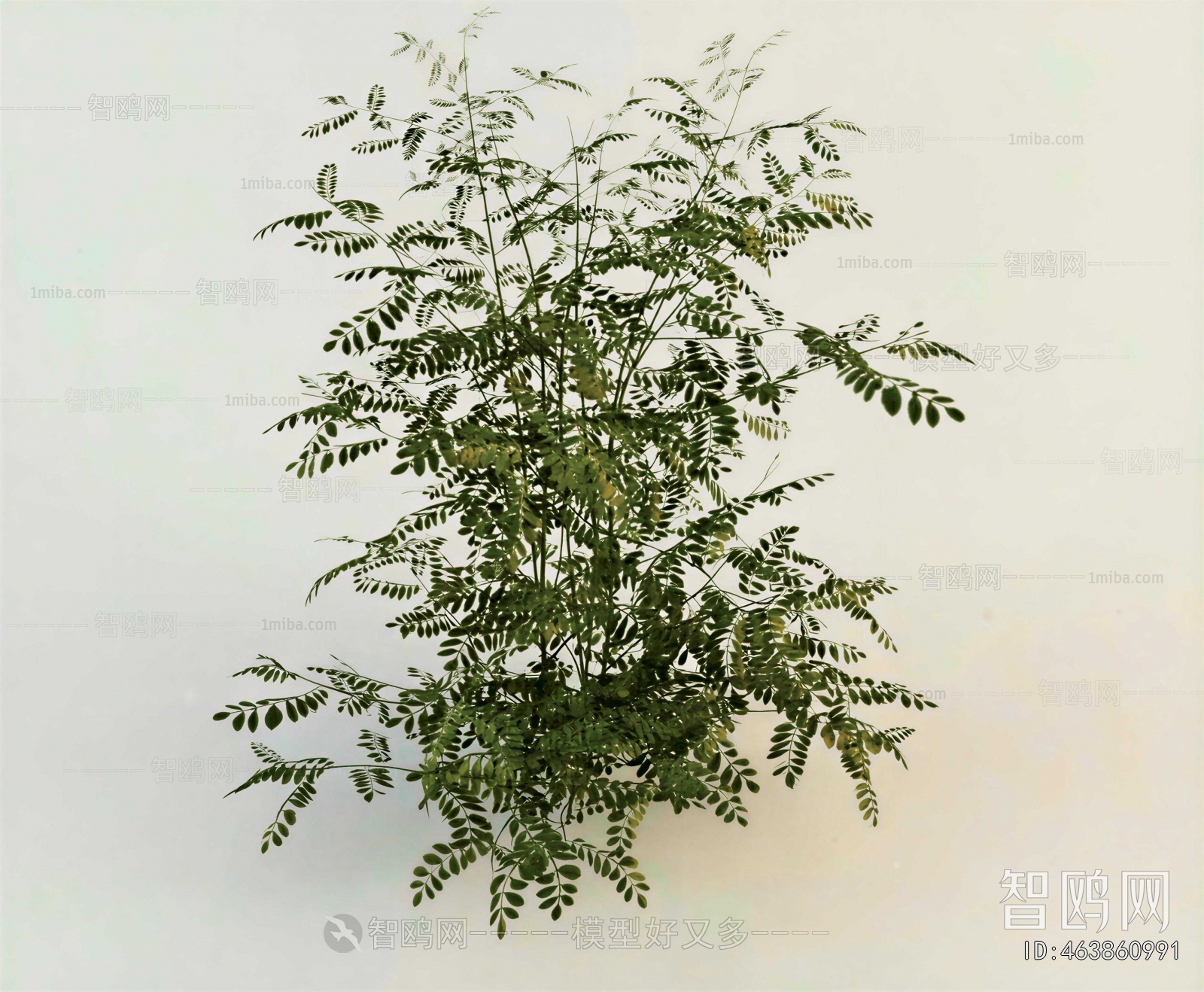 Modern Shrubbery