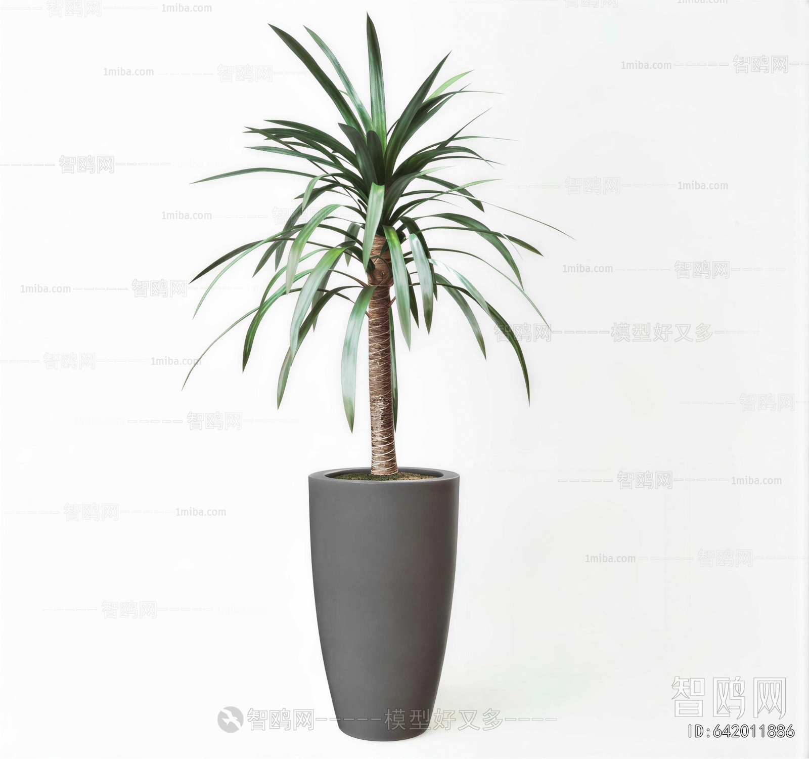 Modern Ground Green Plant Potted Plants