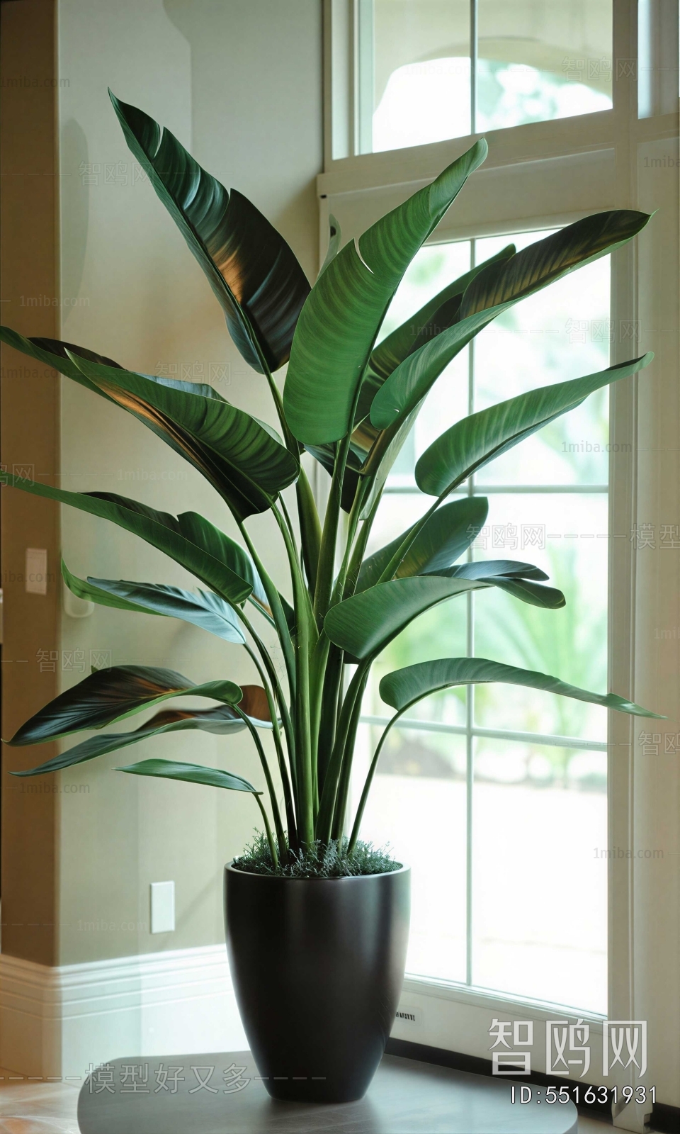 Modern Ground Green Plant Potted Plants