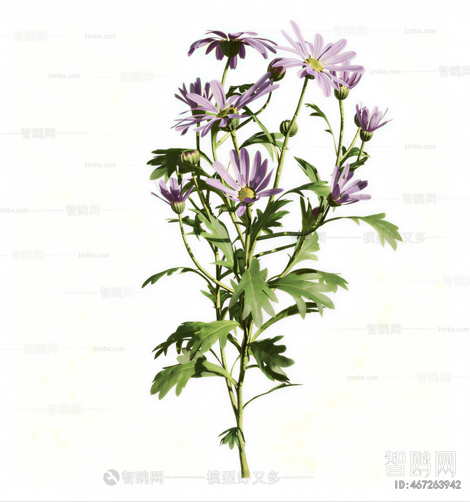Modern Flowers And Grass