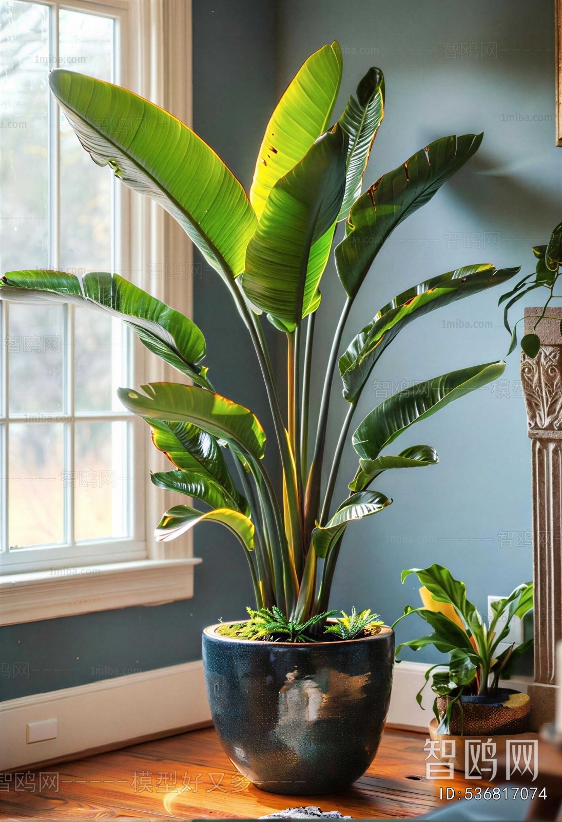 New Chinese Style Ground Green Plant Potted Plants
