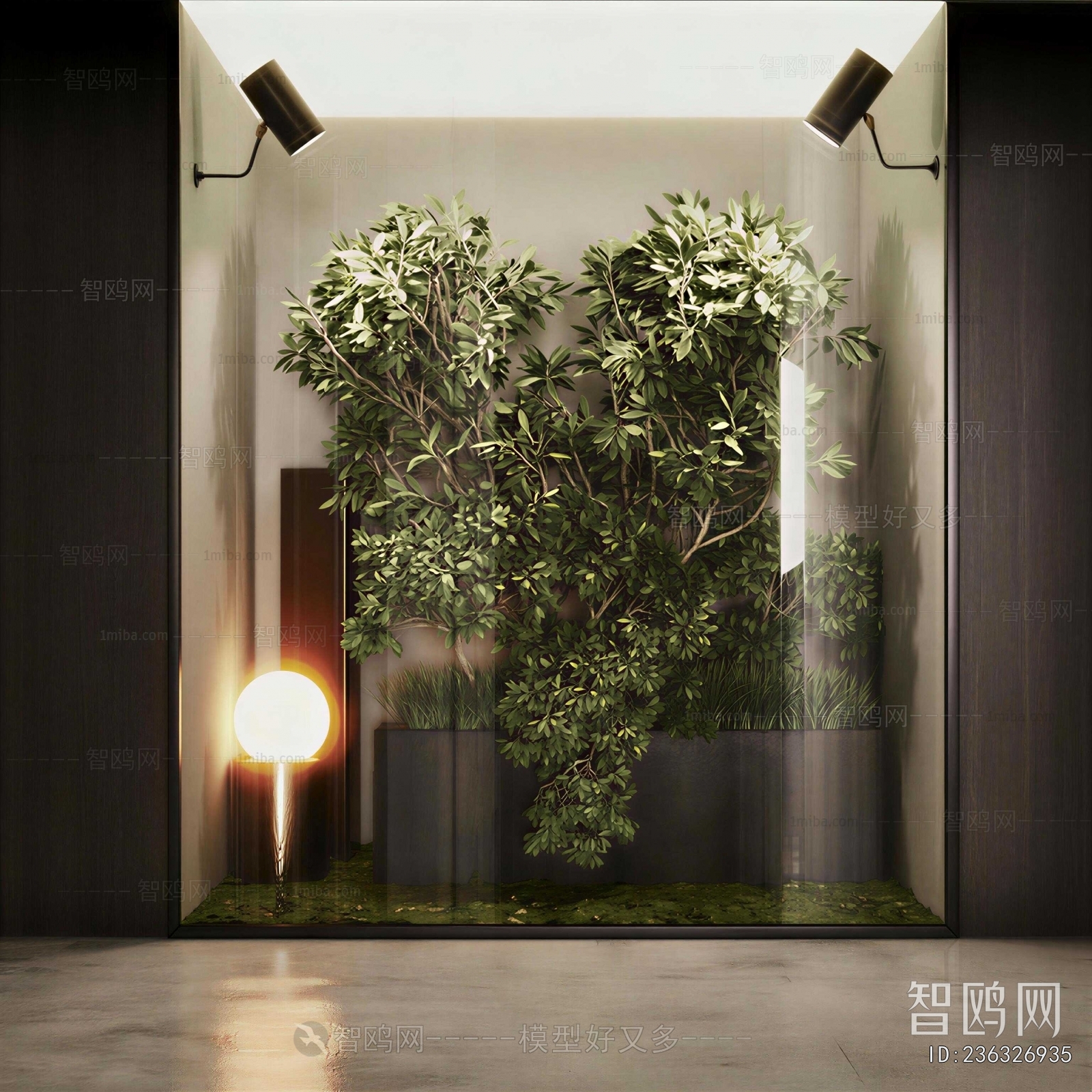 Modern Plant Landscaping