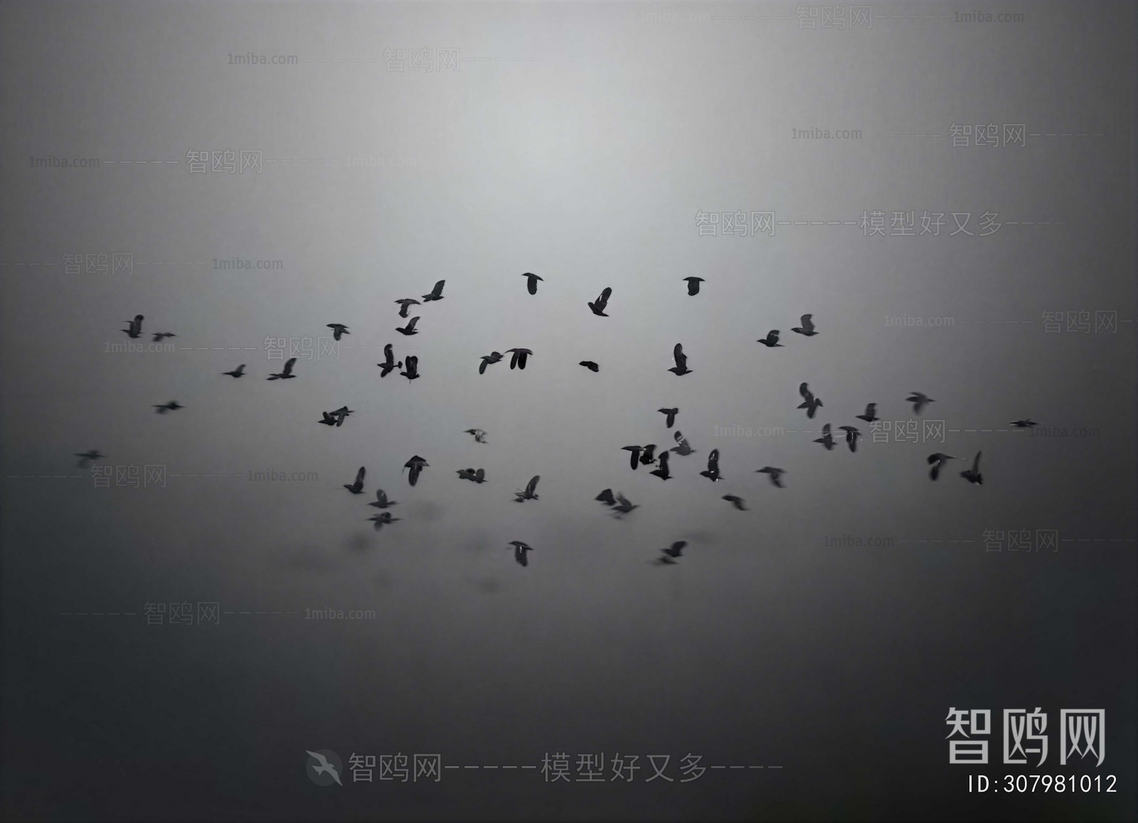 Modern Flying Animals