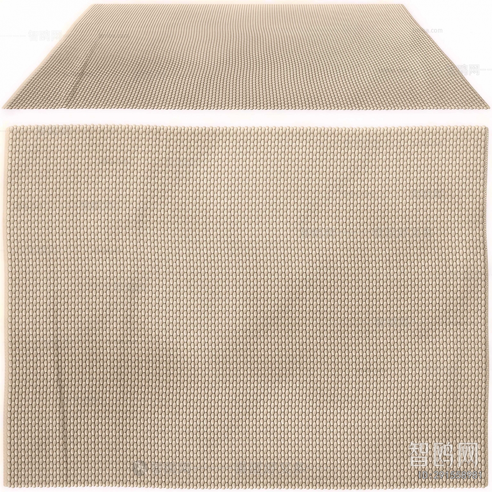 Modern The Carpet