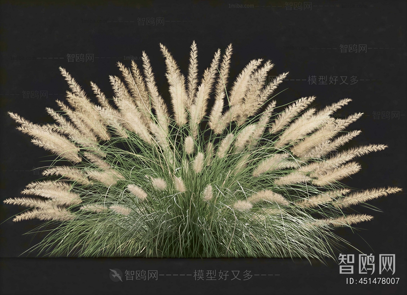 Modern The Grass