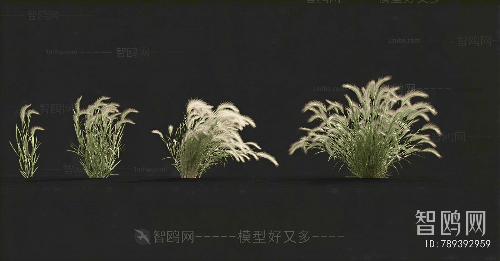 Modern The Grass