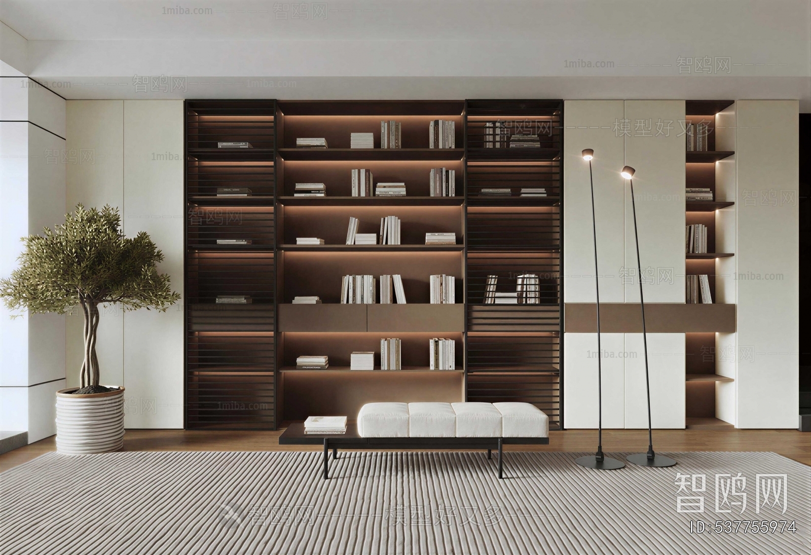 Modern Bookcase