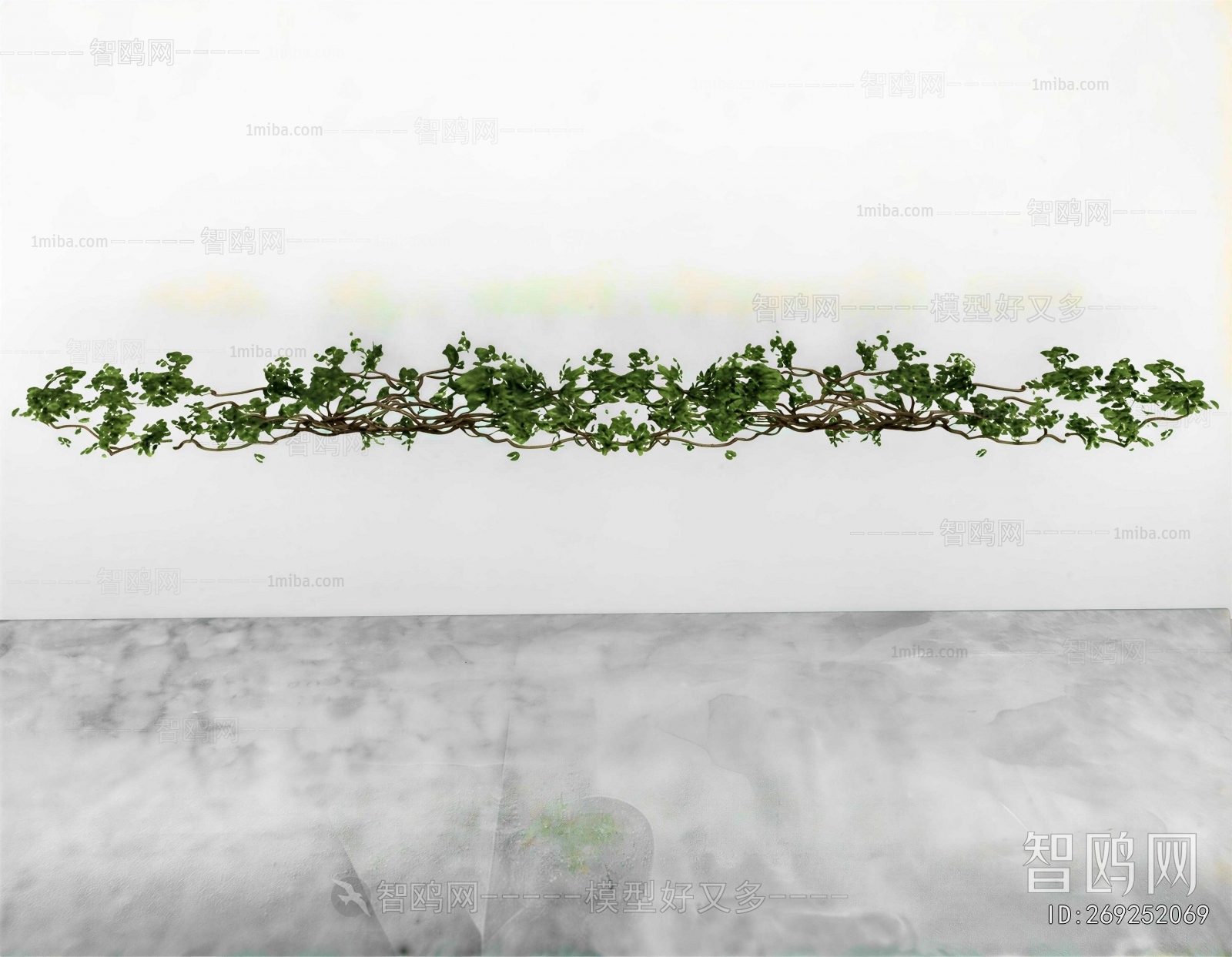 Modern Vine