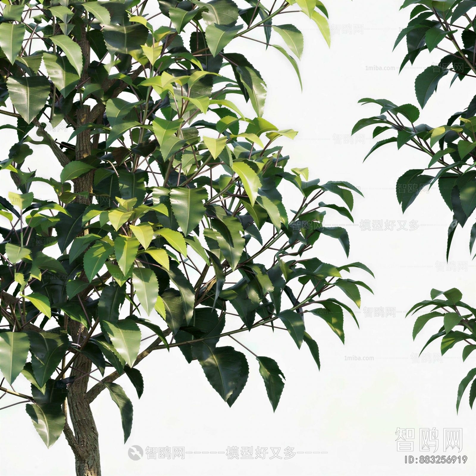 Modern Tree