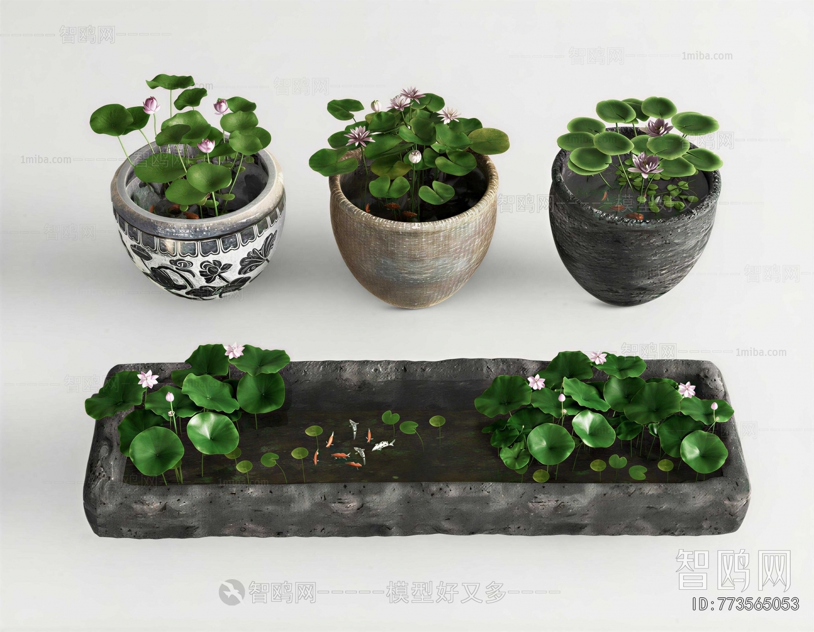 Chinese Style Garden