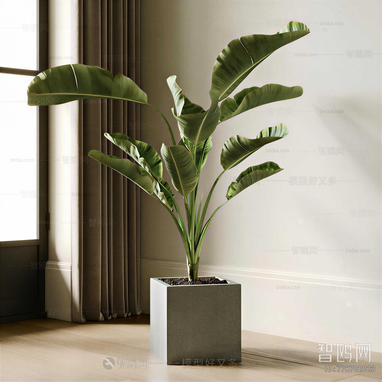 Modern Ground Green Plant Potted Plants