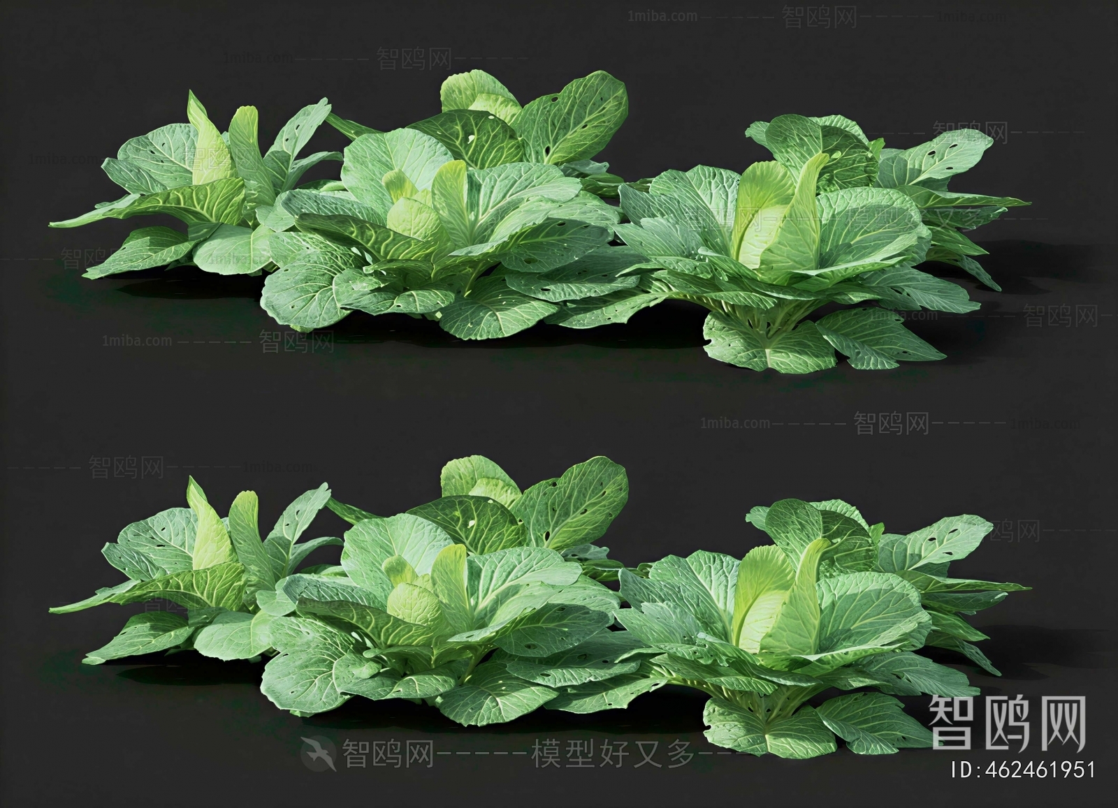 Modern Crop